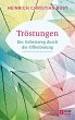 Tröstungen (eBook, ePUB) - Bild 1
