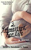 3 Trimesters For Life (eBook, ePUB)