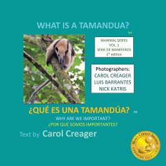 What is a Tamandua - Creager, Carol