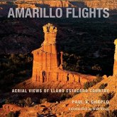 Amarillo Flights