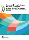 Common Ground Between the Paris Agreement and the Sendai Framework