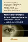 Distribuição espaço-temporal dos homicídios entre adolescentes (eBook, ePUB)