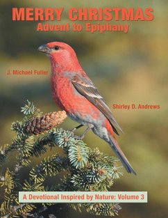 Merry Christmas Advent to Epiphany
