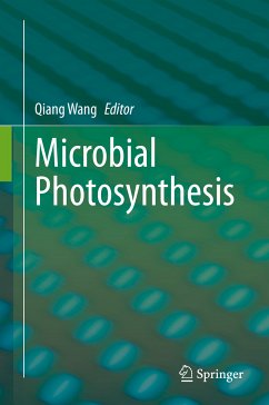 Microbial Photosynthesis (eBook, PDF)