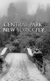 Central park Bridge New York City snow Winter Blank Journal $ir Michael Huhn designer edition