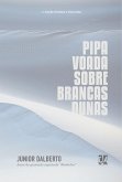 Pipa voada sobre Brancas Dunas (eBook, ePUB)