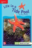 Reading Wonders Leveled Reader Life in a Tide Pool: On-Level Unit 4 Week 3 Grade 3 Reading Wonders Leveled Reader Life in a Tide Pool: On-Level Unit 4 Week 3 Grade 3