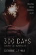 300 Days - Bild 1