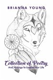 Collection of Poetry