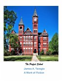 The Perfect School (eBook, ePUB)