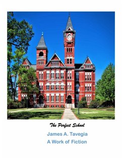 The Perfect School (eBook, ePUB) - Tavegia, James A.