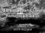 20 poems and some homesick haikus (eBook, ePUB)