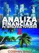 Analiza Financiara pe intelesul tuturor... - Bild 1