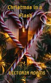 Christmas in a Flash (eBook, ePUB)