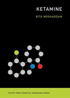 Ketamine (eBook, ePUB) - Moghaddam, Bita
