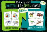 Meine große KartenLernSpiel-Box - Konzentration / Logisches Denken