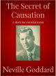 The Secret of Causation (eBook, ePUB) - Bild 1