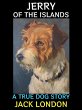 Jerry of the Islands (eBook, ePUB) - Bild 1