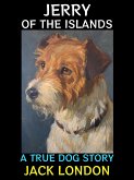 Jerry of the Islands (eBook, ePUB)