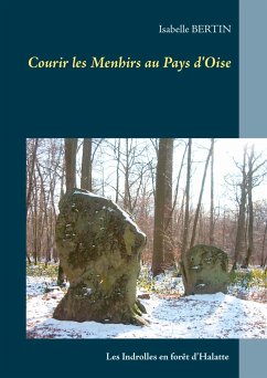 Courir les Menhirs au Pays d'Oise - Bertin, Isabelle