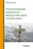 Psychoonkologie praktizieren - Welche Hilfe wann und bei wem? (eBook, PDF)