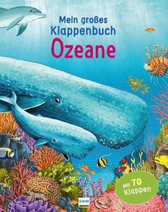 Mein großes Klappenbuch - Ozeane - Ganeri, Anita