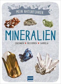 Mein Naturführer - Mineralien - Japiot, Xavier