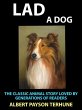 Lad A Dog (eBook, ePUB) - Bild 1