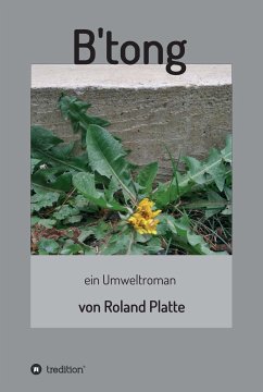 B'tong (eBook, ePUB) - Platte, Roland