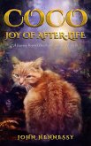 Coco: Joy of After-Life (A Journey Beyond Death and into the Heavens) (eBook, ePUB)