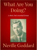 What Are You Doing (eBook, ePUB)