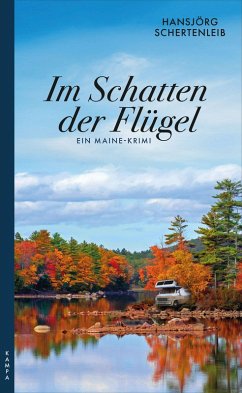 Im Schatten der Flügel (eBook, ePUB) - Schertenleib, Hansjörg