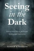 Seeing in the Dark: Biblical Meditations for People Dealing with Depression