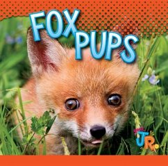 Fox Pups - Besel, Jen