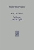 Suffering and the Spirit (eBook, PDF)