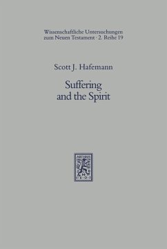 Cover Suffering and the Spirit (eBook, PDF)