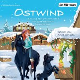 Chaos auf dem Wintermarkt & Das geheimnisvolle Brandzeichen / Ostwind für Erstleser Bd.7-8 (MP3-Download)