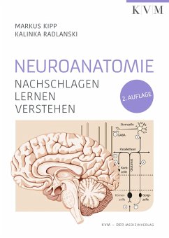 Neuroanatomie (eBook, ePUB) - Kipp, Markus; Radlanski, Kalinka