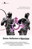 Entre hefestos e narcisos (eBook, ePUB)