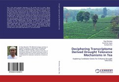 Deciphering Transcriptome Derived Drought Tolerance Mechanisms in Tea