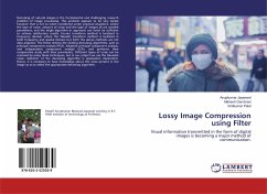 Lossy Image Compression using Filter