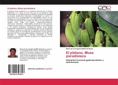 El plátano, Musa paradisiaca - Boffiil Cárdenas, Maria de los Ángeles