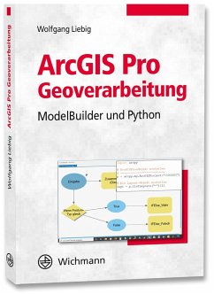 ArcGIS Pro Geoverarbeitung - Liebig, Wolfgang