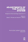 Adjustments of the Fluvial System (eBook, ePUB)