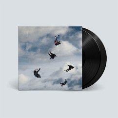 Rookery (2lp) - Giant Rooks