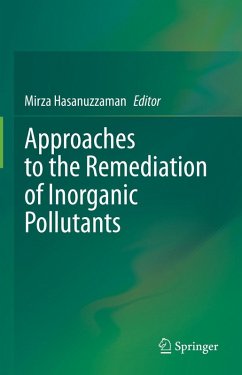 Cover Approaches to the Remediation of Inorganic Pollutants