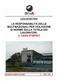 La responsabilità delle multinazionali per violazioni di norme sulla tutela dei lavoratori (eBook, PDF)