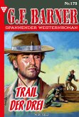 Trail der Drei (eBook, ePUB)