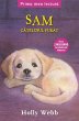 Sam, Ca¿elu¿ul Furat (eBook, ePUB) - Bild 1
