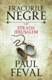 Fracurile Negre (eBook, ePUB)